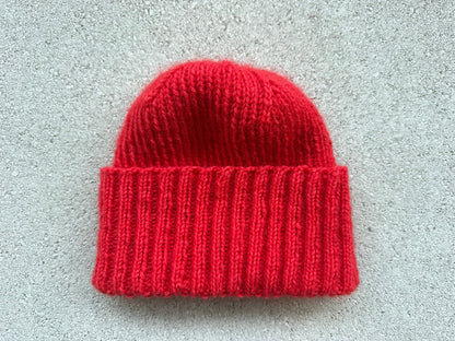 Louis Bonnet